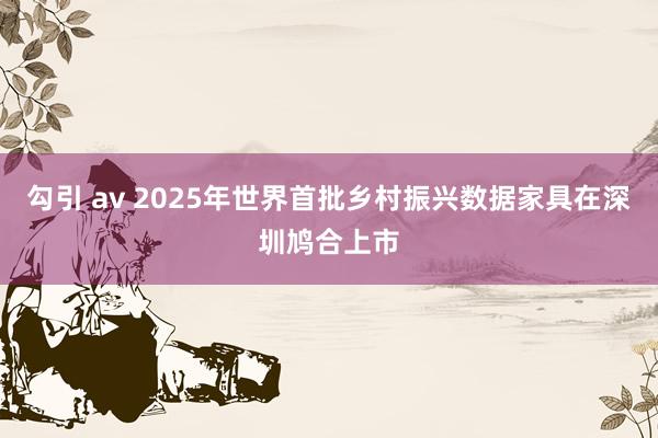 勾引 av 2025年世界首批乡村振兴数据家具在深圳鸠合上市