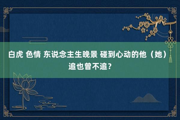 白虎 色情 东说念主生晚景 碰到心动的他（她） 追也曾不追？