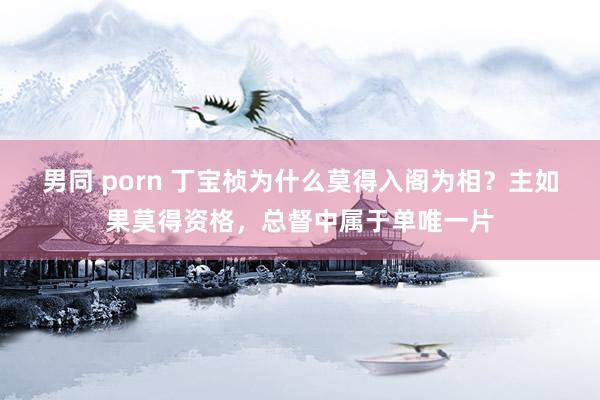 男同 porn 丁宝桢为什么莫得入阁为相？主如果莫得资格，总督中属于单唯一片