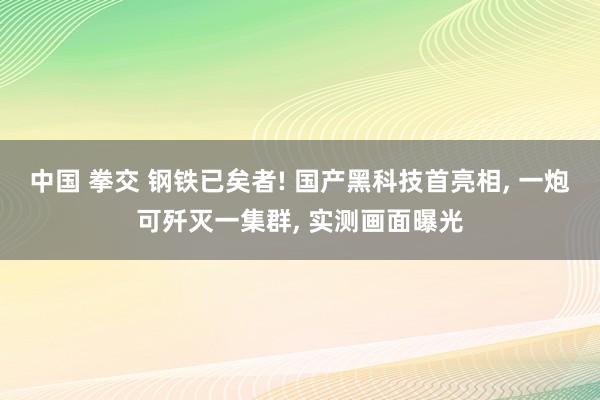 中国 拳交 钢铁已矣者! 国产黑科技首亮相， 一炮可歼灭一集群， 实测画面曝光