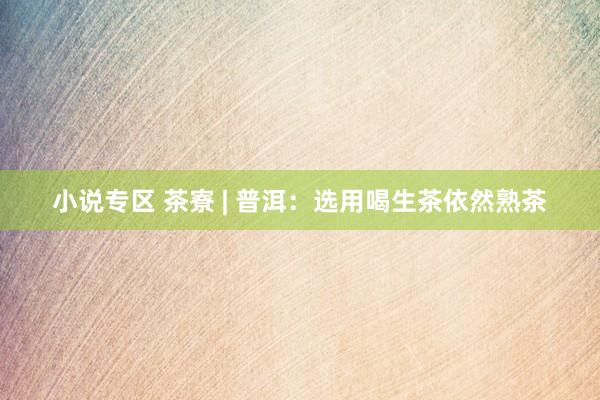 小说专区 茶寮 | 普洱：选用喝生茶依然熟茶