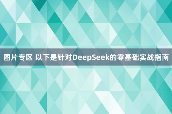 图片专区 以下是针对DeepSeek的零基础实战指南