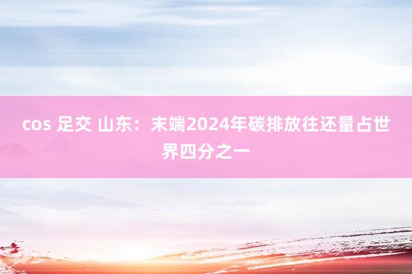 cos 足交 山东：末端2024年碳排放往还量占世界四分之一
