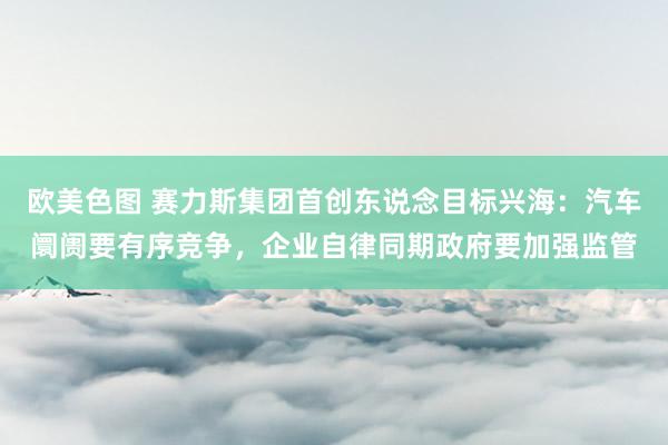欧美色图 赛力斯集团首创东说念目标兴海：汽车阛阓要有序竞争，企业自律同期政府要加强监管
