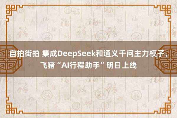 自拍街拍 集成DeepSeek和通义千问主力模子，飞猪“AI行程助手”明日上线